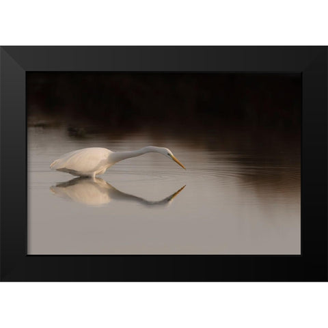 Search Mode Black Modern Wood Framed Art Print by Forner Rodriguez, Joaquin