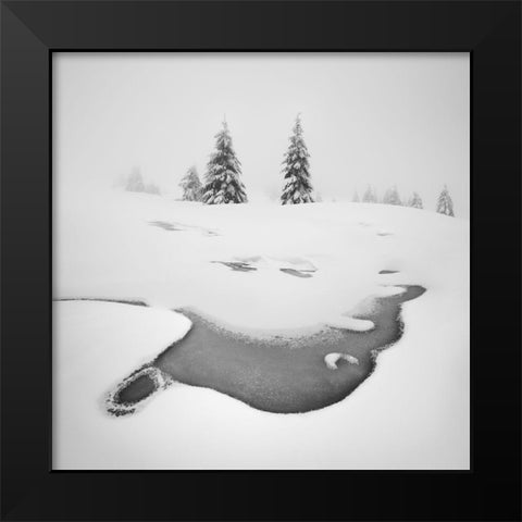 Frozen Swamps Black Modern Wood Framed Art Print by Rericha, Daniel