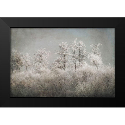 Cold Morning Black Modern Wood Framed Art Print by Talen, Nel