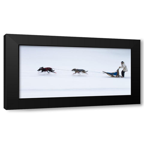 Sled Dogs Race - 1 Black Modern Wood Framed Art Print with Double Matting by Chang, Cheng
