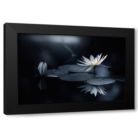 Reflection Black Modern Wood Framed Art Print by Suzuki, Takashi