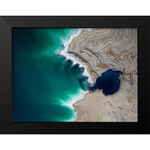 Big Fish Black Modern Wood Framed Art Print by Eliash, Tomer