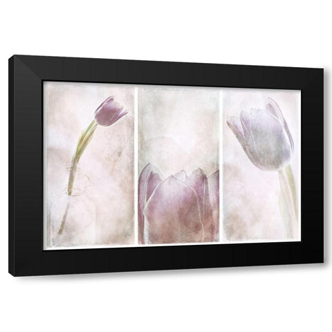Untitled Black Modern Wood Framed Art Print with Double Matting by Davidsson, Gustav