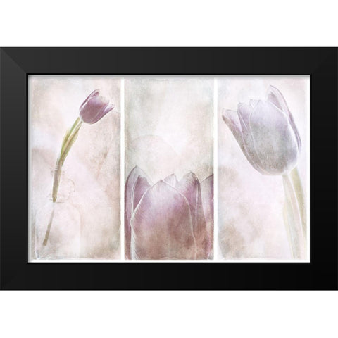 Untitled Black Modern Wood Framed Art Print by Davidsson, Gustav