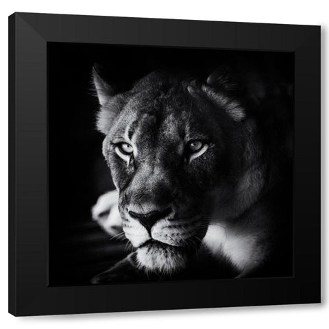 The Look Black Modern Wood Framed Art Print with Double Matting by Berry, Jerry