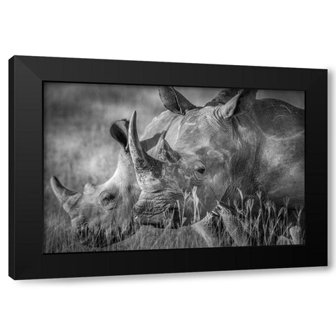 Qthe Manq Black Modern Wood Framed Art Print with Double Matting by C. Sink, Jeffrey