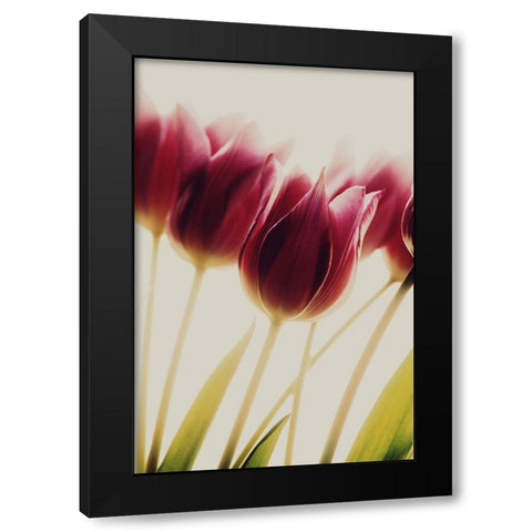 Tulips Black Modern Wood Framed Art Print by Philippin-Lipscomb, Rosalinde