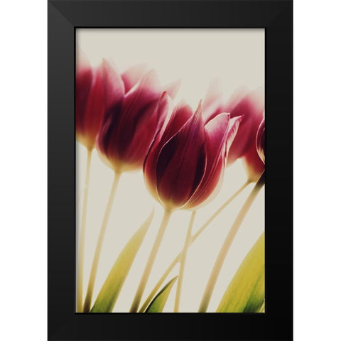Tulips Black Modern Wood Framed Art Print by Philippin-Lipscomb, Rosalinde