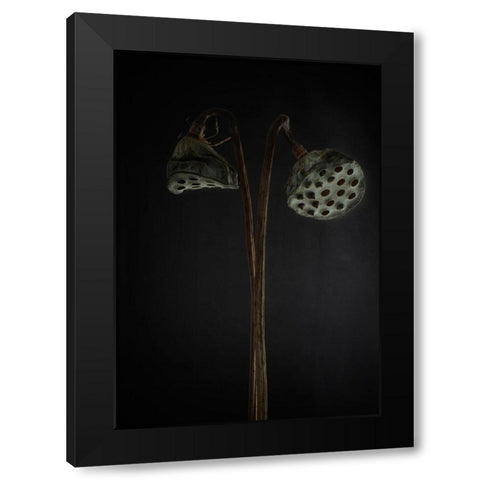 Lotus Heads - Dried Black Modern Wood Framed Art Print by Gronkjar, Lotte