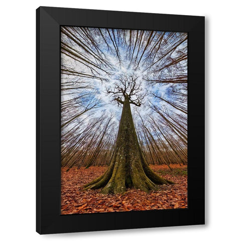 Four Centuries Tall Black Modern Wood Framed Art Print by Casanova, Francois