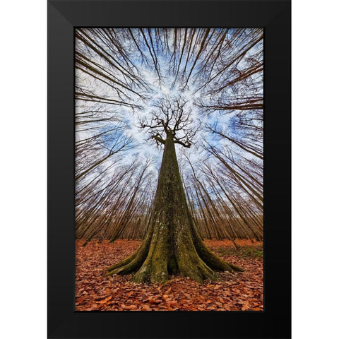 Four Centuries Tall Black Modern Wood Framed Art Print by Casanova, Francois