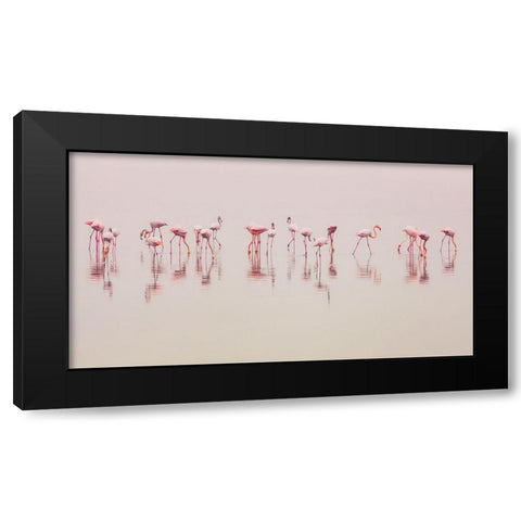 Water Ballet Black Modern Wood Framed Art Print with Double Matting by Thabet, Ahmed