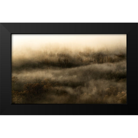 Untitled Black Modern Wood Framed Art Print by Lucidi, Riccardo