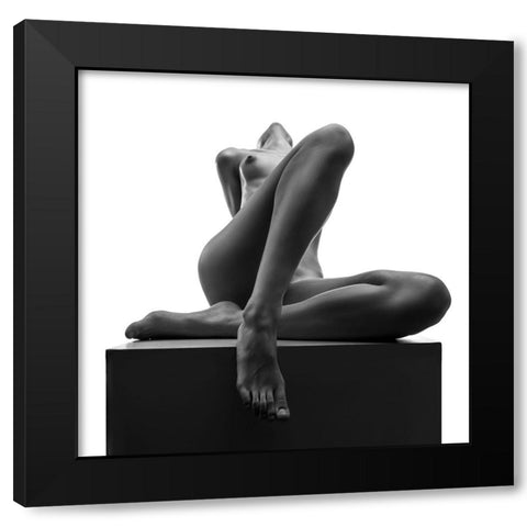 Proud On The Cube Black Modern Wood Framed Art Print by Valevicius, Aurimas