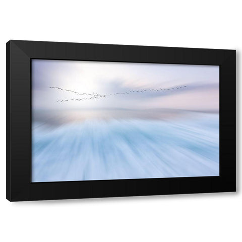 Fly Over Black Modern Wood Framed Art Print by Hermann, Uschi