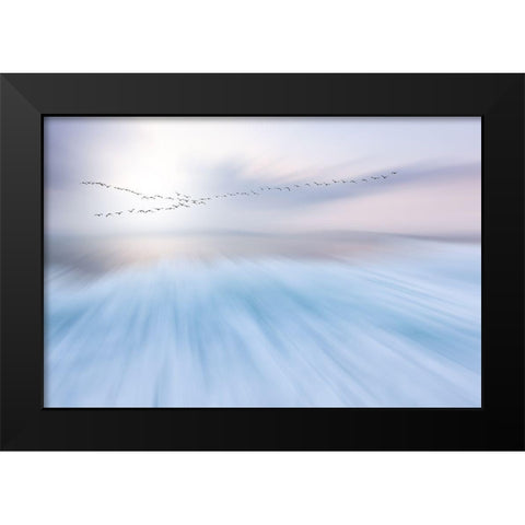 Fly Over Black Modern Wood Framed Art Print by Hermann, Uschi