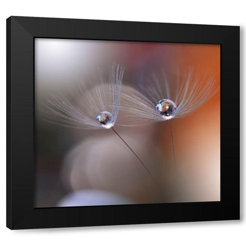 Immortal Love.. Black Modern Wood Framed Art Print by Nan, Juliana