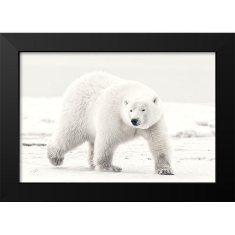 Alaskan King Black Modern Wood Framed Art Print by Itoyama, Eiji