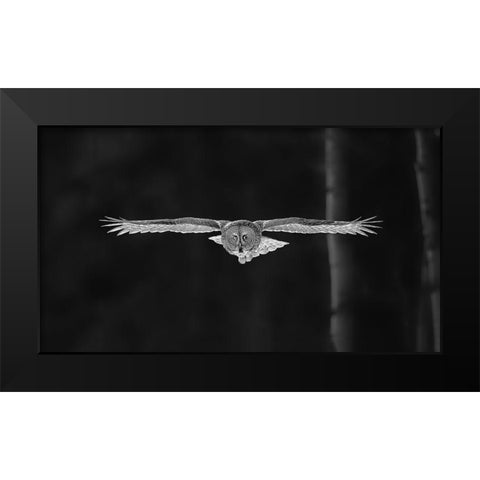 Out Of The Woods Black Modern Wood Framed Art Print by Zuo, Jun