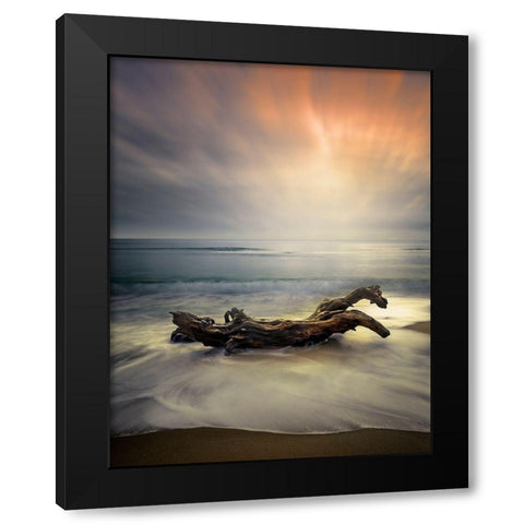 Morning Light Black Modern Wood Framed Art Print with Double Matting by Markova, Albena