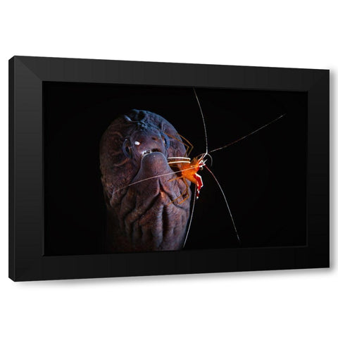 Cleaning Session Black Modern Wood Framed Art Print with Double Matting by Gabriel, Barathieu