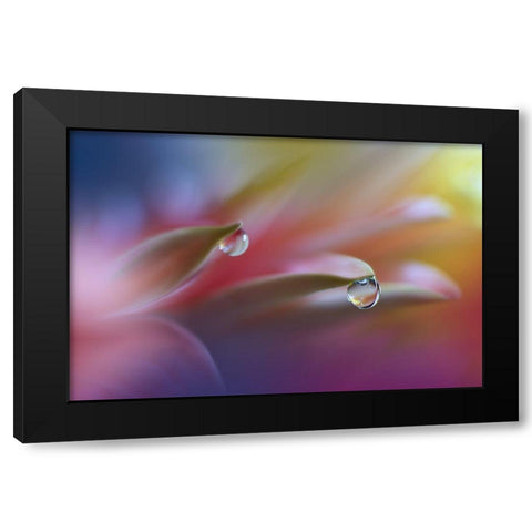 Sound Of Colors... Black Modern Wood Framed Art Print with Double Matting by Nan, Juliana