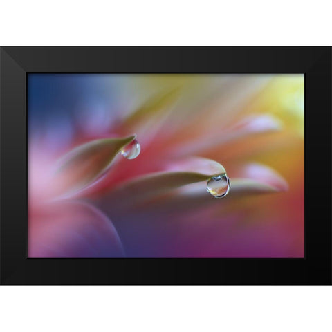 Sound Of Colors... Black Modern Wood Framed Art Print by Nan, Juliana