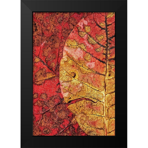 Dying Leaf Black Modern Wood Framed Art Print by Klabus, Ales