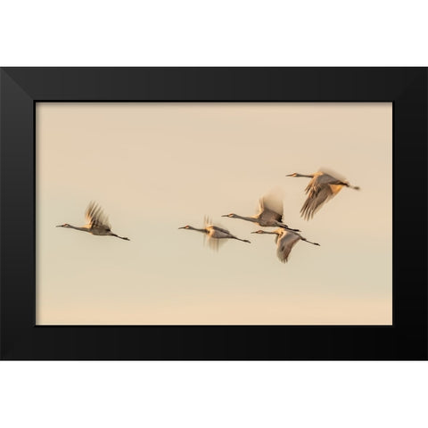 Untitled Black Modern Wood Framed Art Print by Wang, Qingsong