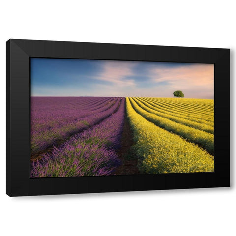 Violyellow Black Modern Wood Framed Art Print by Komovec, Ales