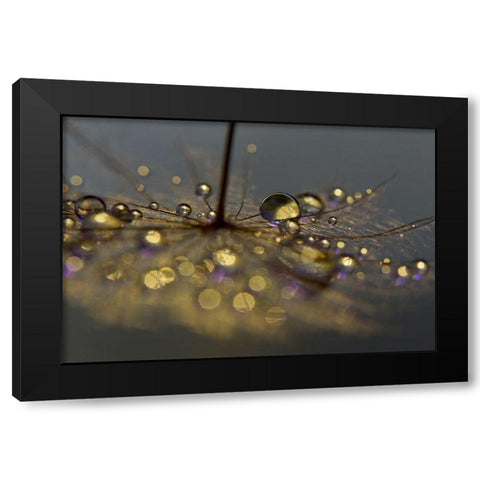 Golden Purple Black Modern Wood Framed Art Print with Double Matting by Westum, Heidi