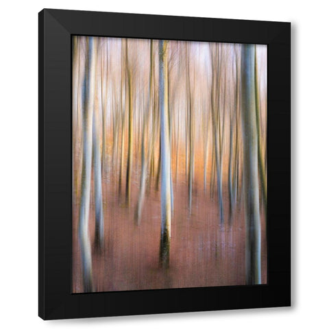 Magic Woodland Black Modern Wood Framed Art Print by Zanin, Riccardo