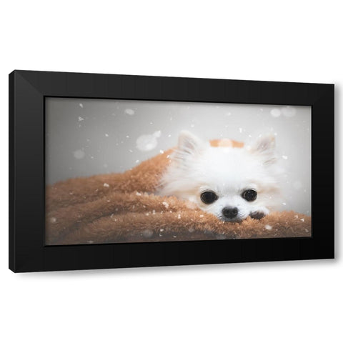 One Day In Winter Black Modern Wood Framed Art Print with Double Matting by Lienjp