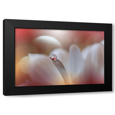 Enigma.. Black Modern Wood Framed Art Print with Double Matting by Nan, Juliana