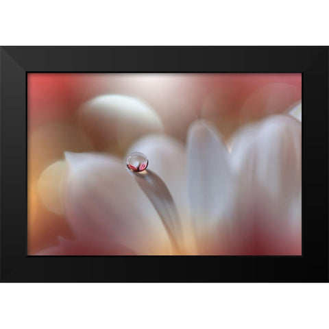 Enigma.. Black Modern Wood Framed Art Print by Nan, Juliana