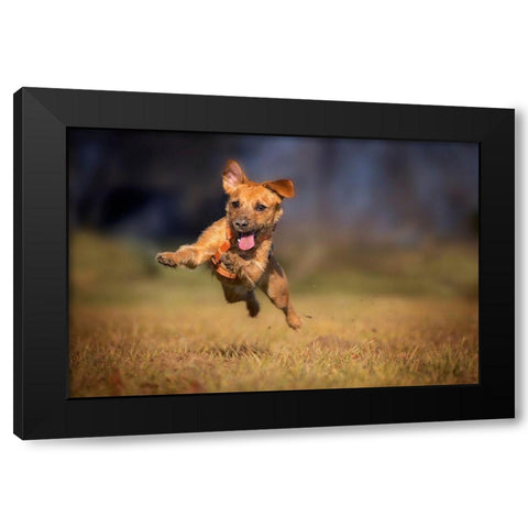 Happy Scooby Black Modern Wood Framed Art Print by Gregor