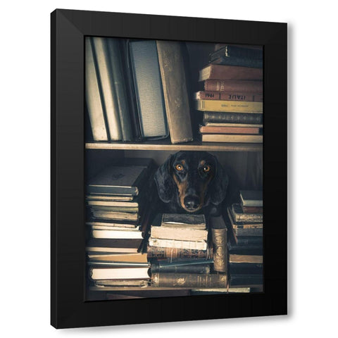 Der Kleine Bibliothekar - Little Librarian Black Modern Wood Framed Art Print by Willers, Heike