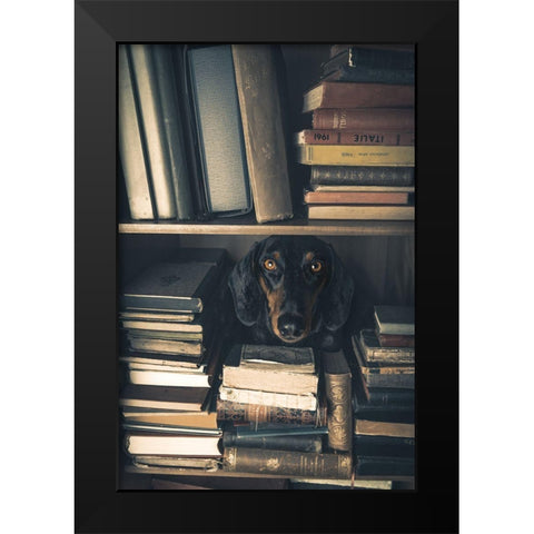 Der Kleine Bibliothekar - Little Librarian Black Modern Wood Framed Art Print by Willers, Heike