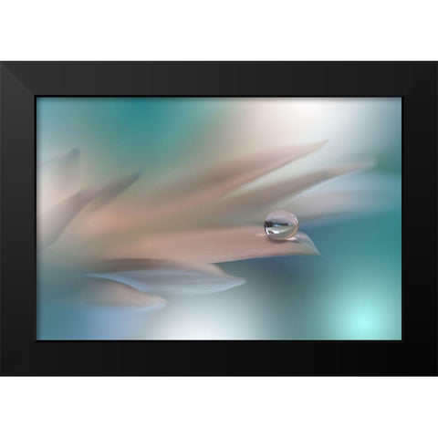 White Symphony.. Black Modern Wood Framed Art Print by Nan, Juliana