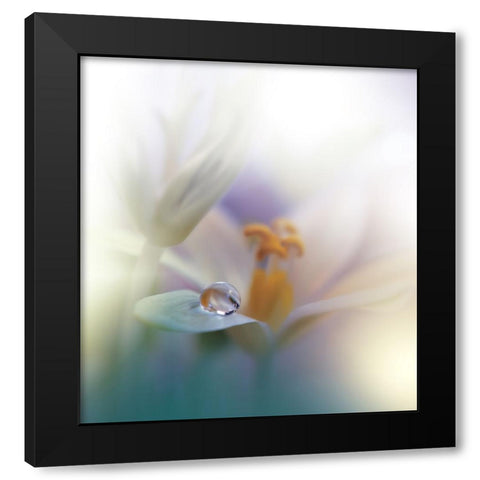 All Of Me... Black Modern Wood Framed Art Print by Nan, Juliana