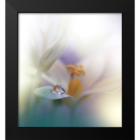 All Of Me... Black Modern Wood Framed Art Print by Nan, Juliana