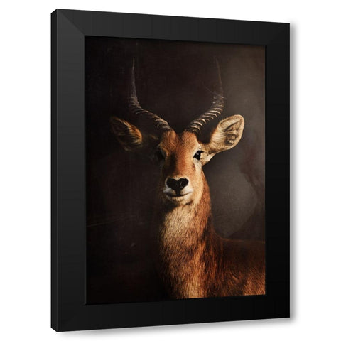 Untitled Black Modern Wood Framed Art Print by Grambone, Antonio