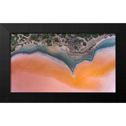 Colostrai Black Modern Wood Framed Art Print by Moglia, Fabrizio