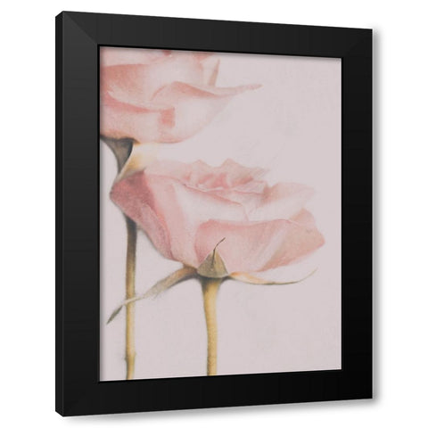 Two Roses Black Modern Wood Framed Art Print with Double Matting by Devos, Delphine