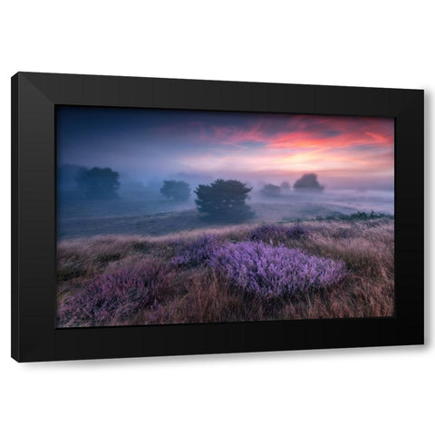 Qthe Colors Of Heatherq Black Modern Wood Framed Art Print with Double Matting by Pachula, Adam