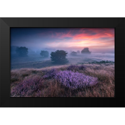 Qthe Colors Of Heatherq Black Modern Wood Framed Art Print by Pachula, Adam