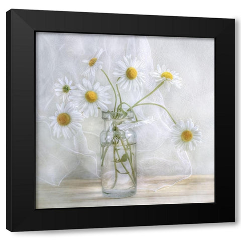 Daisies Black Modern Wood Framed Art Print by Disher, Mandy