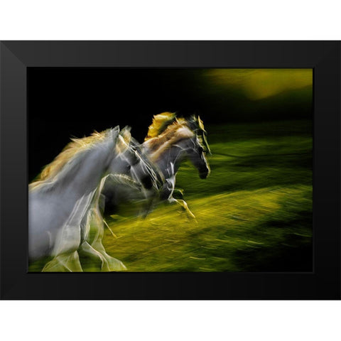 White Goddnesses Black Modern Wood Framed Art Print by Malovrh, Milan
