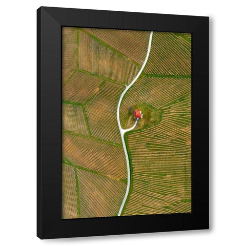 Vinyards Black Modern Wood Framed Art Print by Kravanja, Jure
