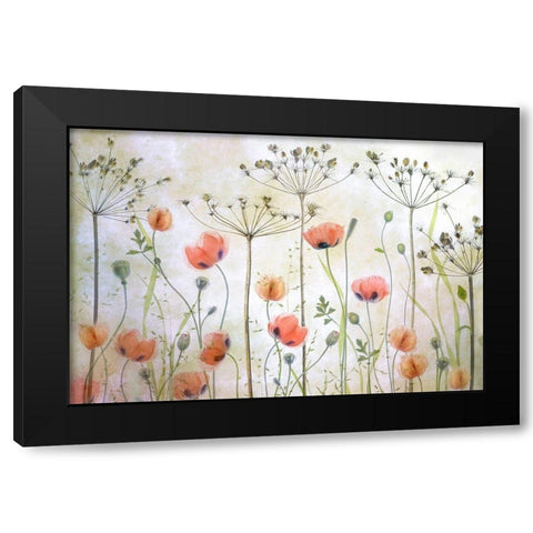 Poppy Meadow Black Modern Wood Framed Art Print by Disher, Mandy